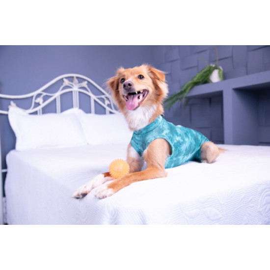 Îmbrăcăminte de Protecție „Dry Light Supreme Dog” Verde Mărimea 2 (2,5 – 3,5 kg) UV 50 plus, Antimicrobiană, Dry